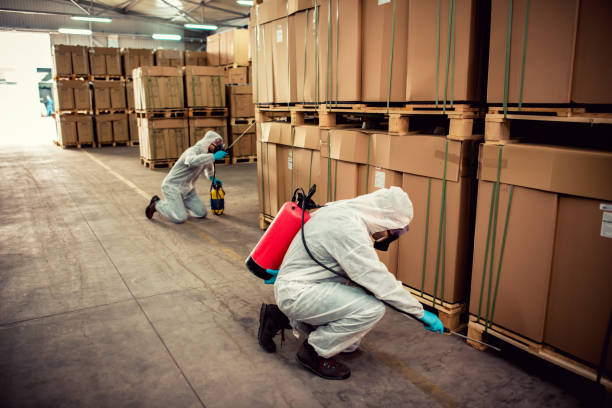 Best Rat Extermination Near Me  in Sterling Heights, MI