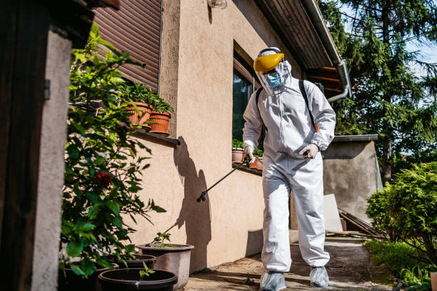 Best Best Pest Control Companies  in Sterling Heights, MI