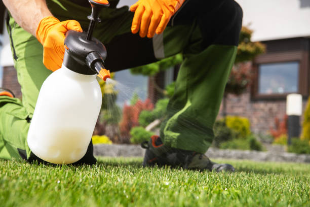 Best Insect Control  in Sterling Heights, MI