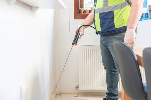 Best Wasp Removal Services  in Sterling Heights, MI