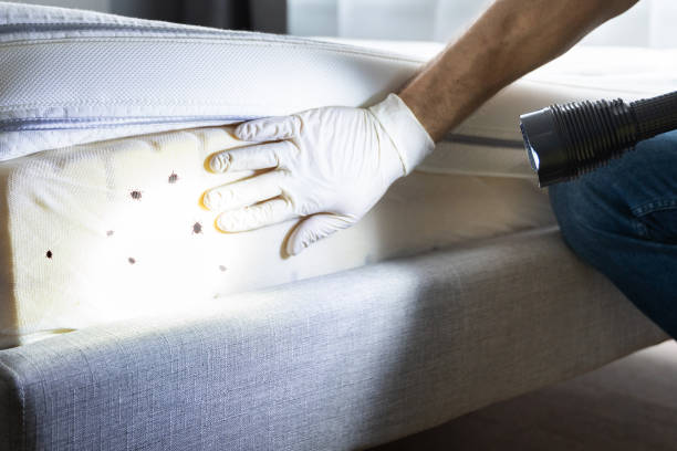 Best Wildlife Control Services  in Sterling Heights, MI