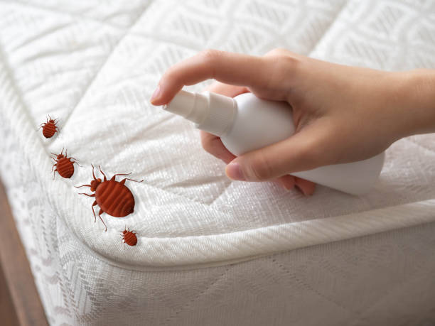Best Bed Bug Extermination  in Sterling Heights, MI