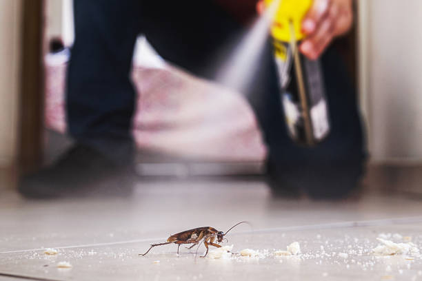 Best Affordable Pest Control Services  in Sterling Heights, MI