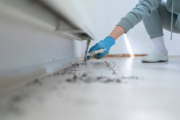 Best Commercial Pest Control Services  in Sterling Heights, MI