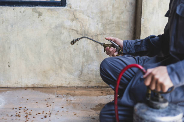 Best Termite Control Services  in Sterling Heights, MI